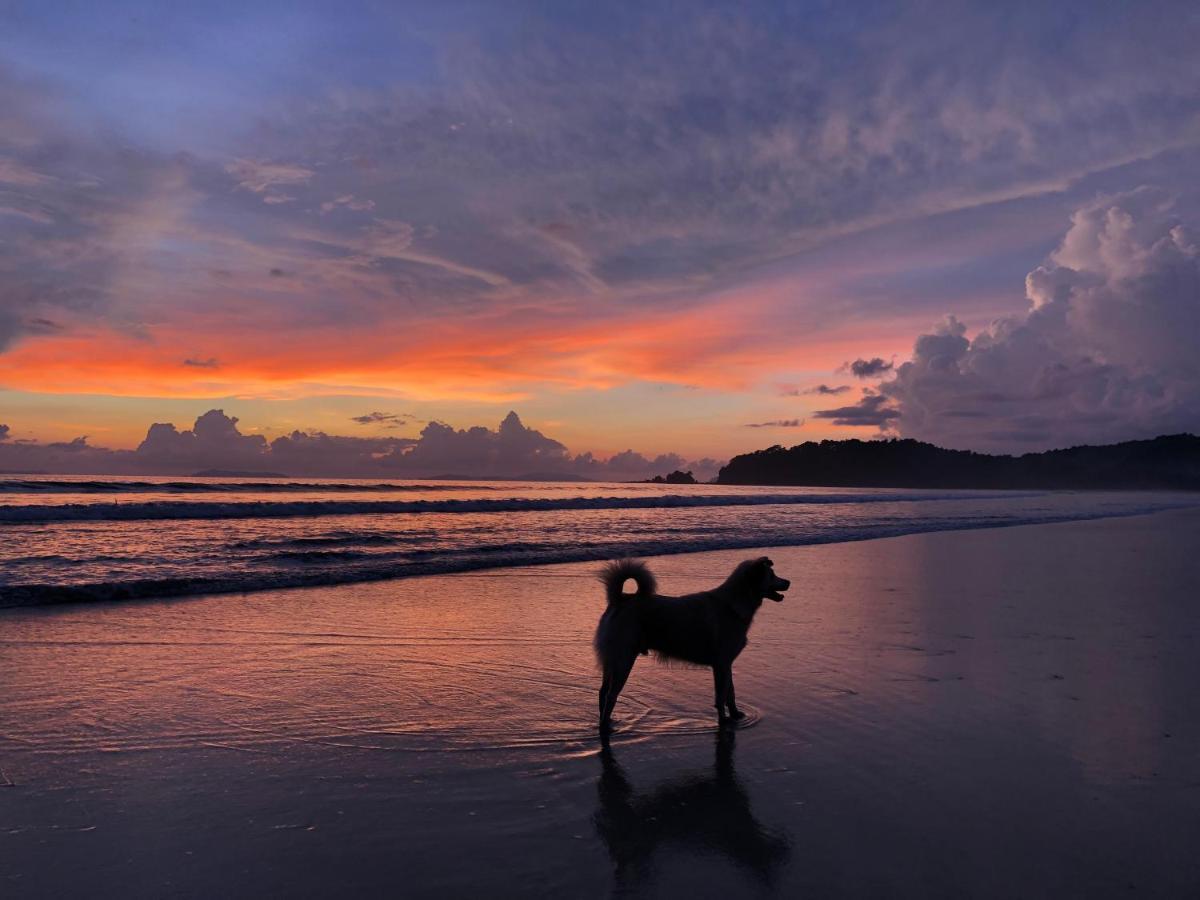 Tropical Hostel パヤム島 エクステリア 写真